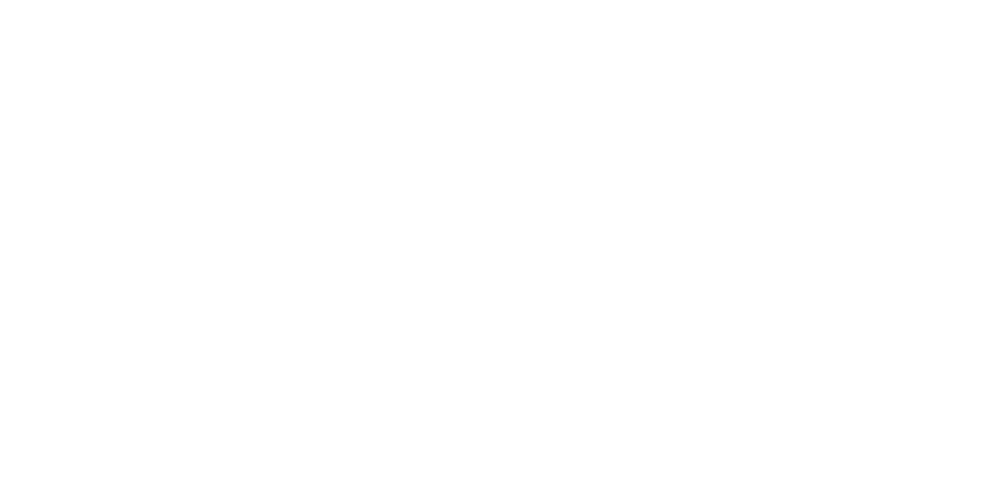 Voscribe logo white